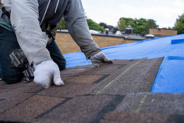 Best Emergency Roof Repair  in Ten Mile Run, NJ