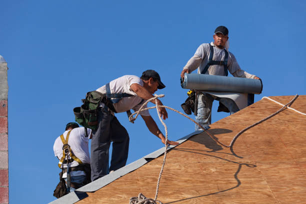 Best Gutter Installation and Roofing  in Ten Mile Run, NJ