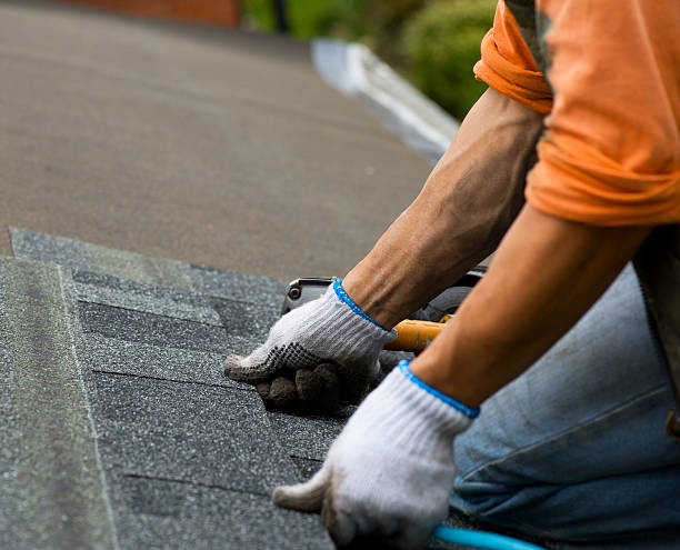 Best Storm Damage Roof Repair  in Ten Mile Run, NJ