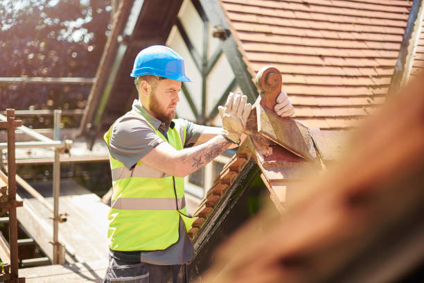 Roof Gutter Cleaning in Ten Mile Run, NJ